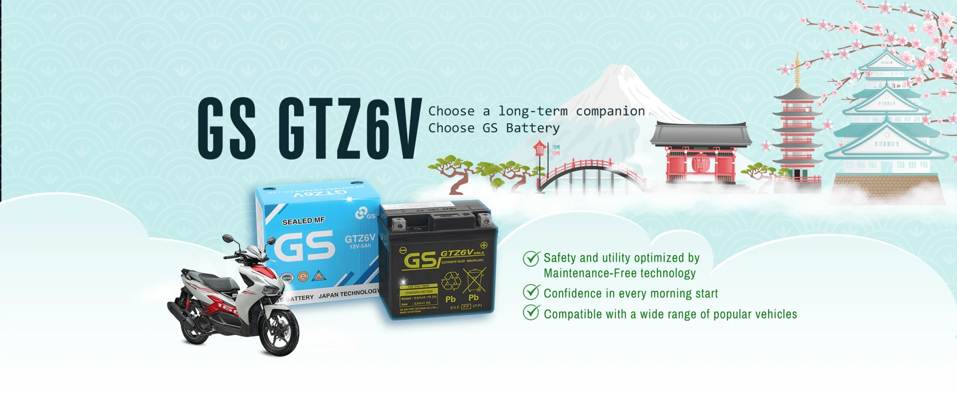 GTZ6V