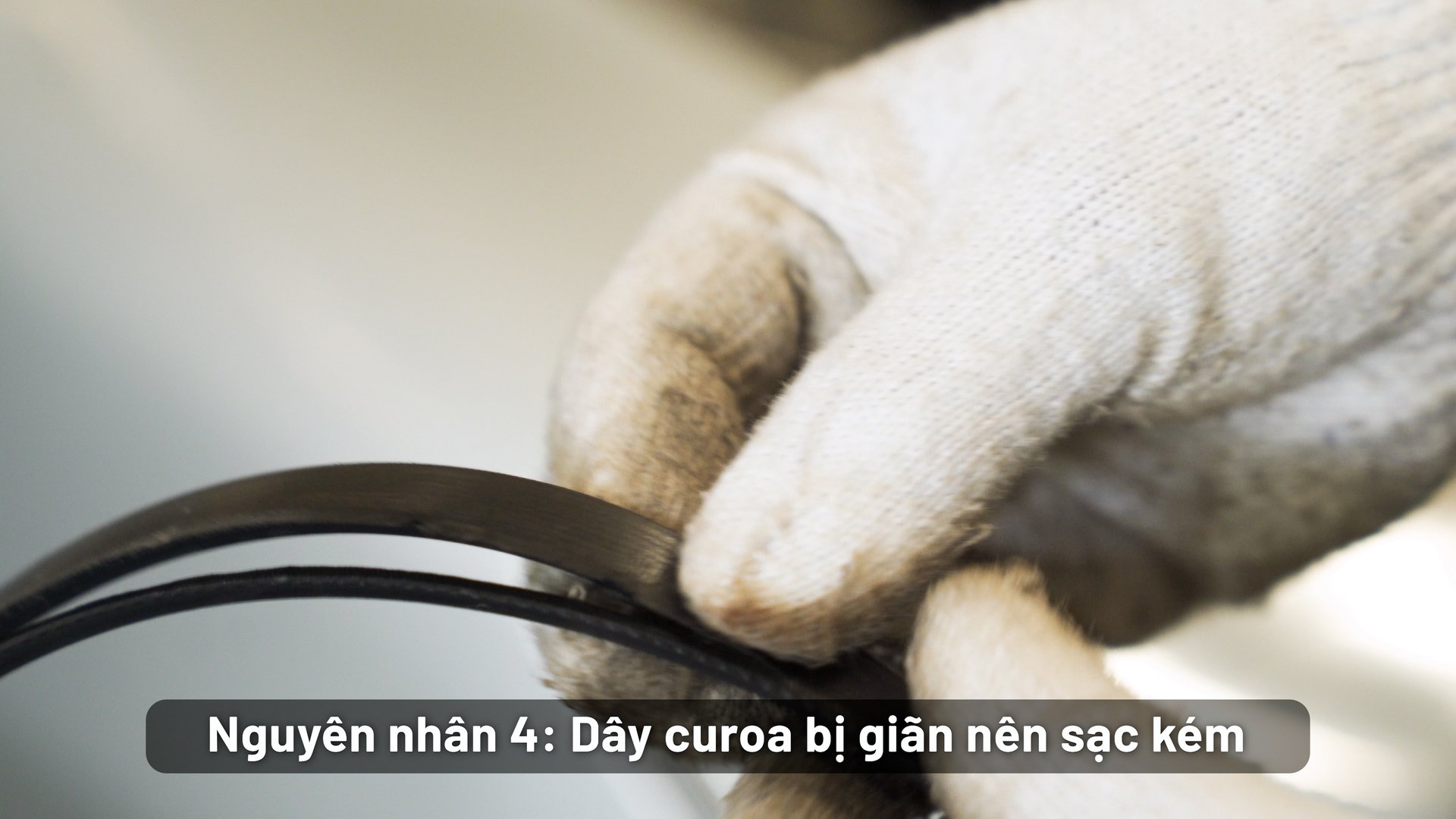 %E1%BA%AFc-quy-nhanh-h%E1%BB%8Fng-(11)