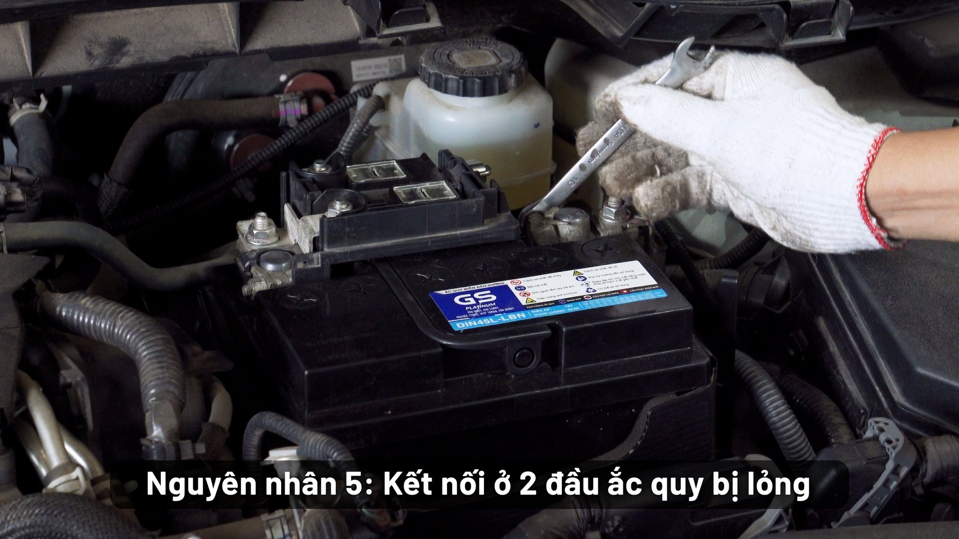 %E1%BA%AFc-quy-nhanh-h%E1%BB%8Fng-(12)