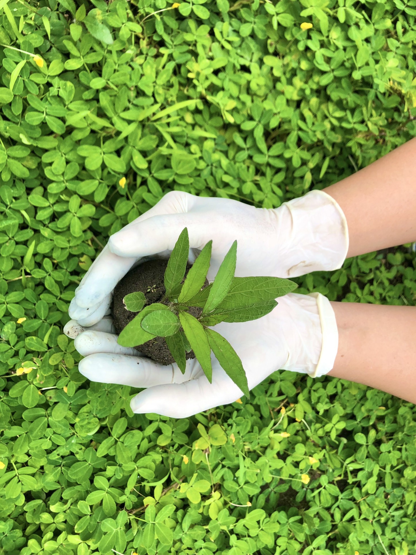 52635f9372e8a6b6fff9